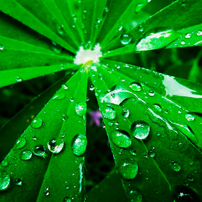 网页版手机号攻击