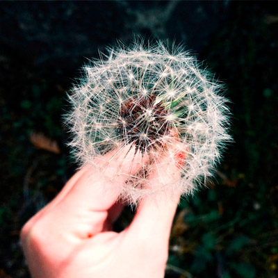 自助下单方便的外呼系统